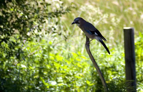 Hospedería El Pico del Fraile - Foto 29