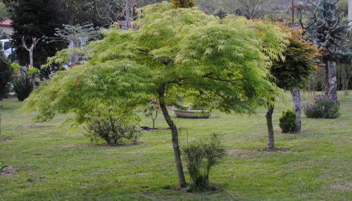 Casa Barranqueiro - Foto 2, Garden