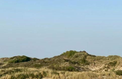 Studio DUNES de NALA avec balcon vue Dunes et latérale Mer pour 4 pers 100m plage wifi ménage compris - Foto 21