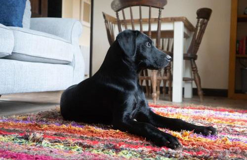 ROSE CHALET - Foto 3