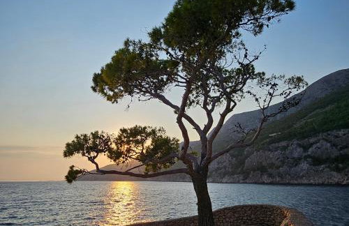 Villa Jagoda - Foto 60