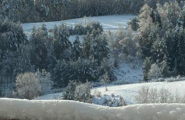 Wilcza Chata - Photo 71