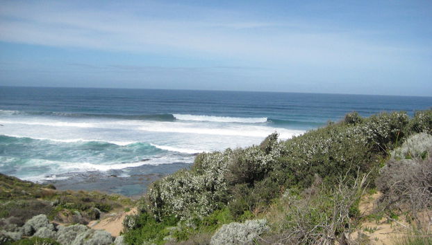 Check-in-/Check-out-Schalter