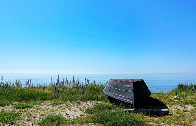 4 Star Holiday Home in Klintehamn-by Traum - Foto 24