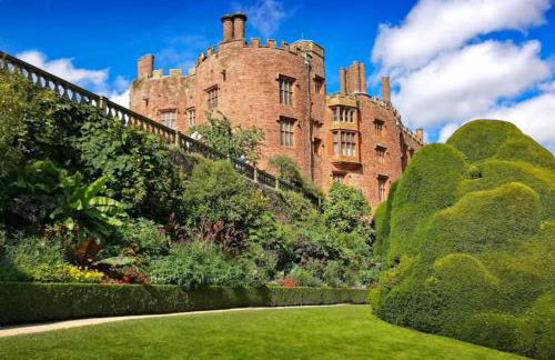 Honey Bee Cottage Tiny House Welshpool - Photo 27