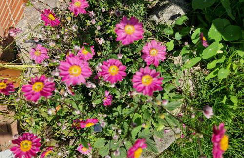 Gästehaus Lichtblick - Foto 11