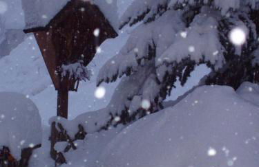 Appartamenti Loretta - Photo 15