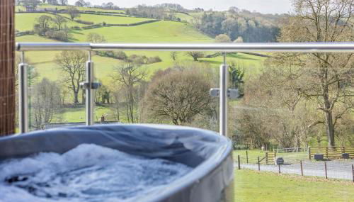 1 Bed in Berriew oc-a31113 - Foto 2, Other