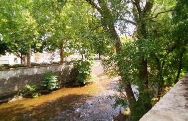 Etoile 21 - Dazzling view of Dijon canal - Foto 12