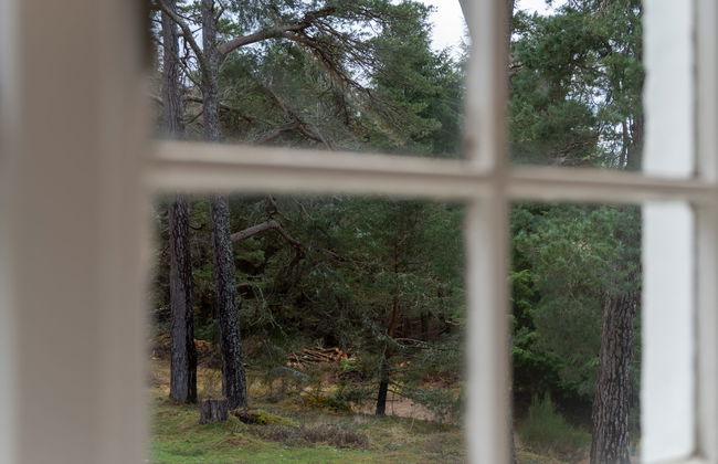 1 Railway Cottage - Foto 5