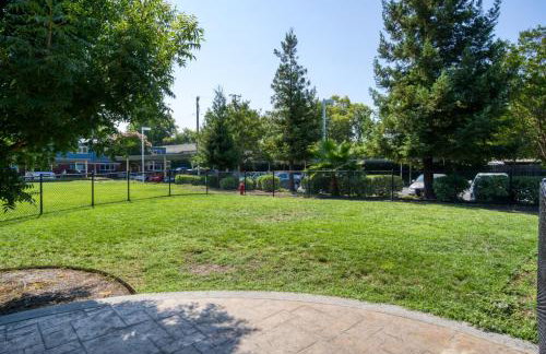 Campbell 1BR w WD Pool Gym nr WF TJ SFO-613 - Foto 24