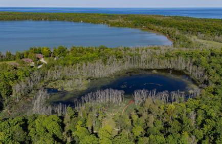 The Rushes - Foto 85