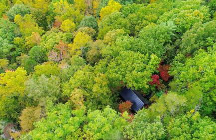 Private Modern Treehouse Retreat in the Forest - Foto 26