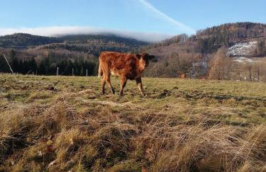 Domek w Górach Sowich - Foto 19