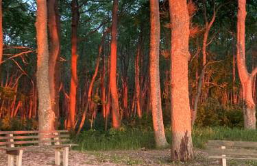 Apartamenty nad morzem Przy Klifie 2 Dębina - Foto 45