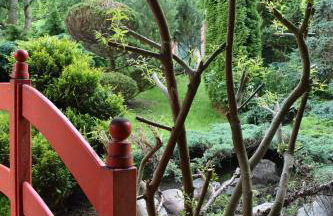 Ogród Shinrin Yoku Odpoczynek w Lesie - Foto 12