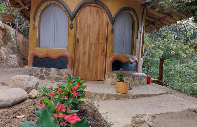 Sol de minca - Photo 19