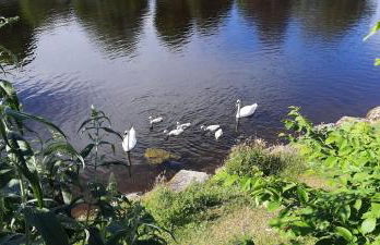 81 Glan Gwna chalet with lakeside balcony - Foto 19