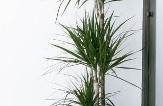 Peaceful Apartment - Dedicated Free Parking - Walk to Centre, Uni, Hosp - Business and Leisure - Contact For Long Stays - Foto 7