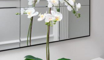 Riversleigh by STAMP SA - Photo 5, Lobby or reception