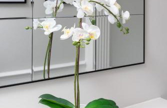 Riversleigh by STAMP SA - Foto 5