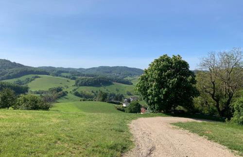 Odw homes - Wohnung im Landhaus mit Terrasse - Photo 34