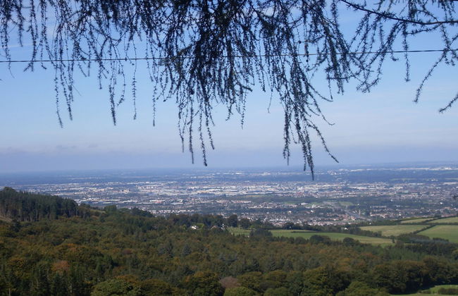 Heyward Mews - Foto 12