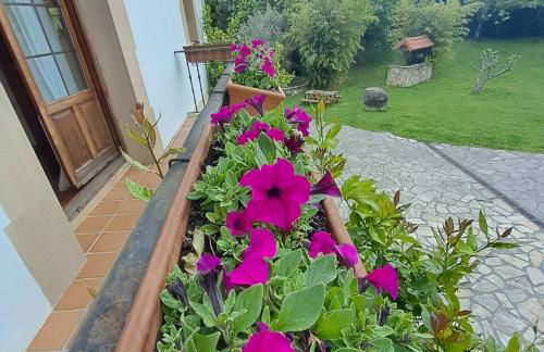 Caserio Kamirune - Foto 62