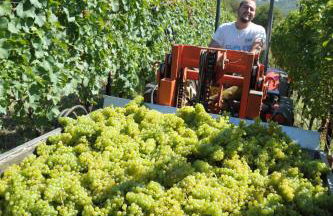 Agriturismo Sol De Montalto - Photo 46