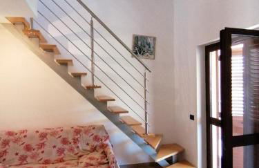 Stella marina - Foto 15