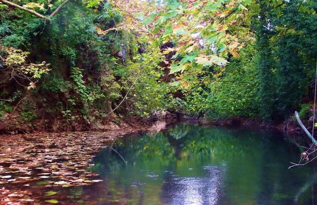 Cretan Magnolia Gem - Smari Cozy Getaway - Foto 25