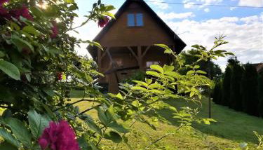 PILGRIM domek gościnny w Gietrzwałdzie na Warmii - Foto 5, Garden