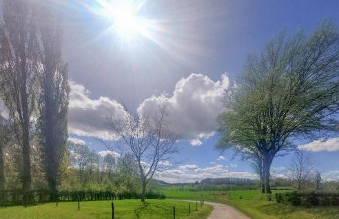 Beautiful Home In Maubert-Fontaine - Foto 13