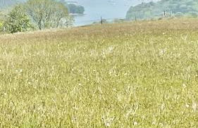 Chalet Bonair Spacious comfortable 2 Bedroom Chalet sleeping 4 Dartmouth - Foto 26