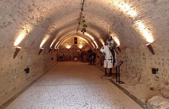 Visita guiada pelo castelo calatravo de Alcaudete - Foto 1