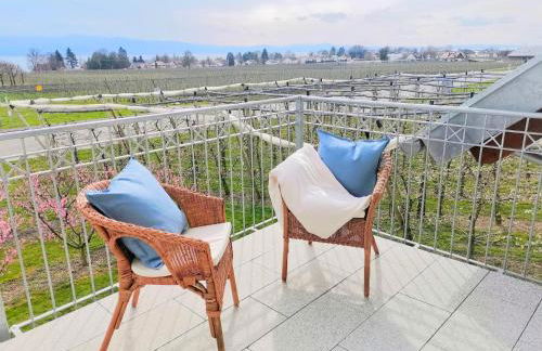 Landhaus Vogel - helle und lichtdurchflutete Maisonette-Ferienwohnung - Foto 13