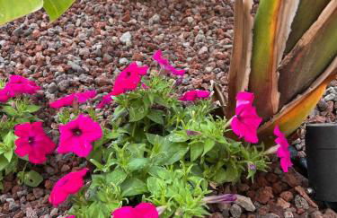 Holiday 103 Guest House Vicino alla Stazione - Foto 8