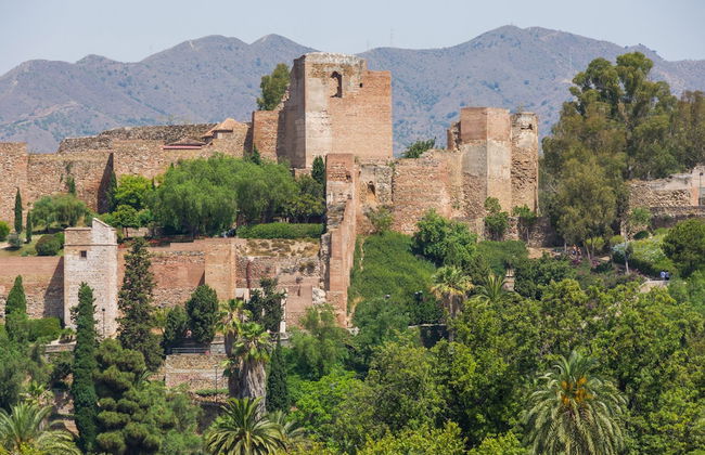 Solaga - Malagueta - Photo 38