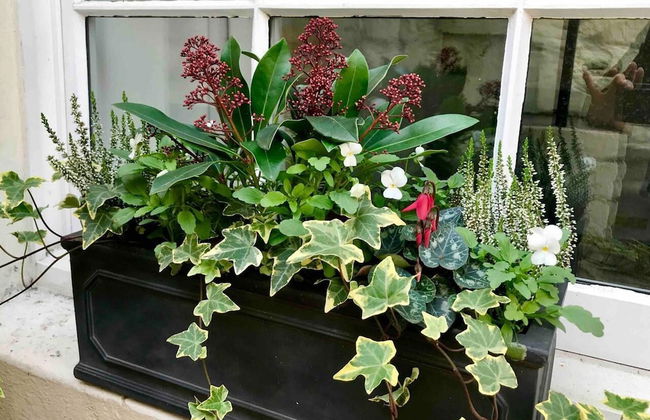 Beachfront Apartment With Woodburner & Courtyard - Photo 26