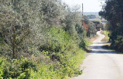 Casa Vinyanova - Foto 34