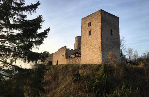 Ferienwohnungen Lausbuben & Zicken - im grünen Herzen Deutschlands - Foto 41