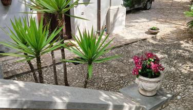 Appartamento piano terra Villa Lanza - Foto 5, Garden