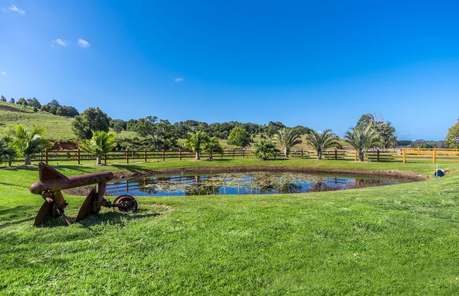 Your Luxury Escape - Midgen Flat - Foto 36