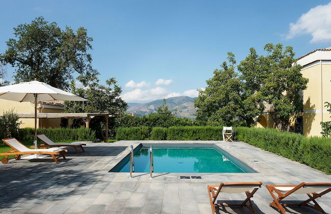 Nerello Mascalese - Foto 38