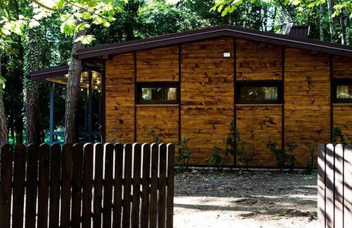 Sosnowy Strumyk - Foto 35