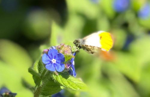 The Patio Flat - Foto 26