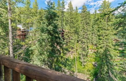 OVER THE RIVER AND THROUGH THE WOODS - Foto 31