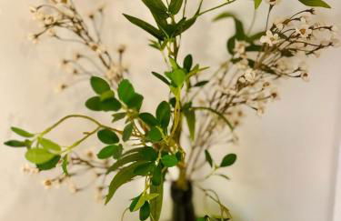 Casa Mirasierra - Foto 30