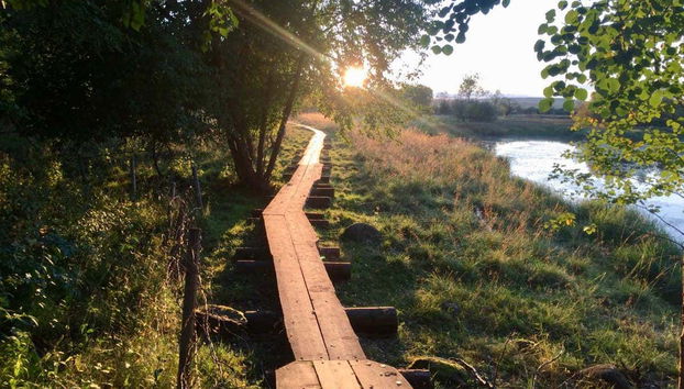 Riisitunturi National Park Hiking - Foto 3