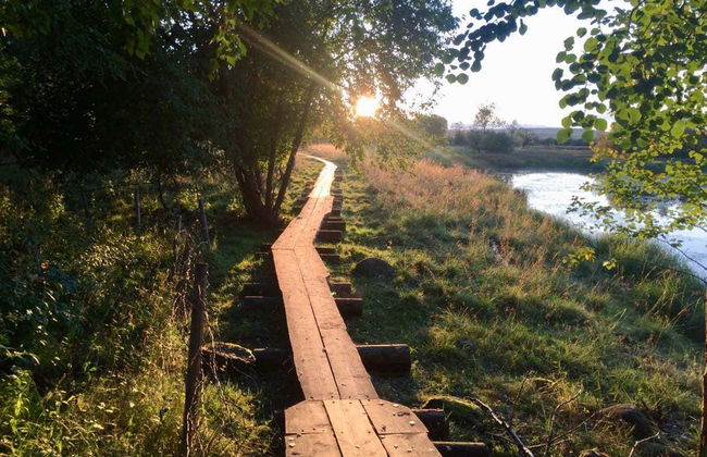 Trilha pelo Parque Nacional de Riisitunturi - Foto 3